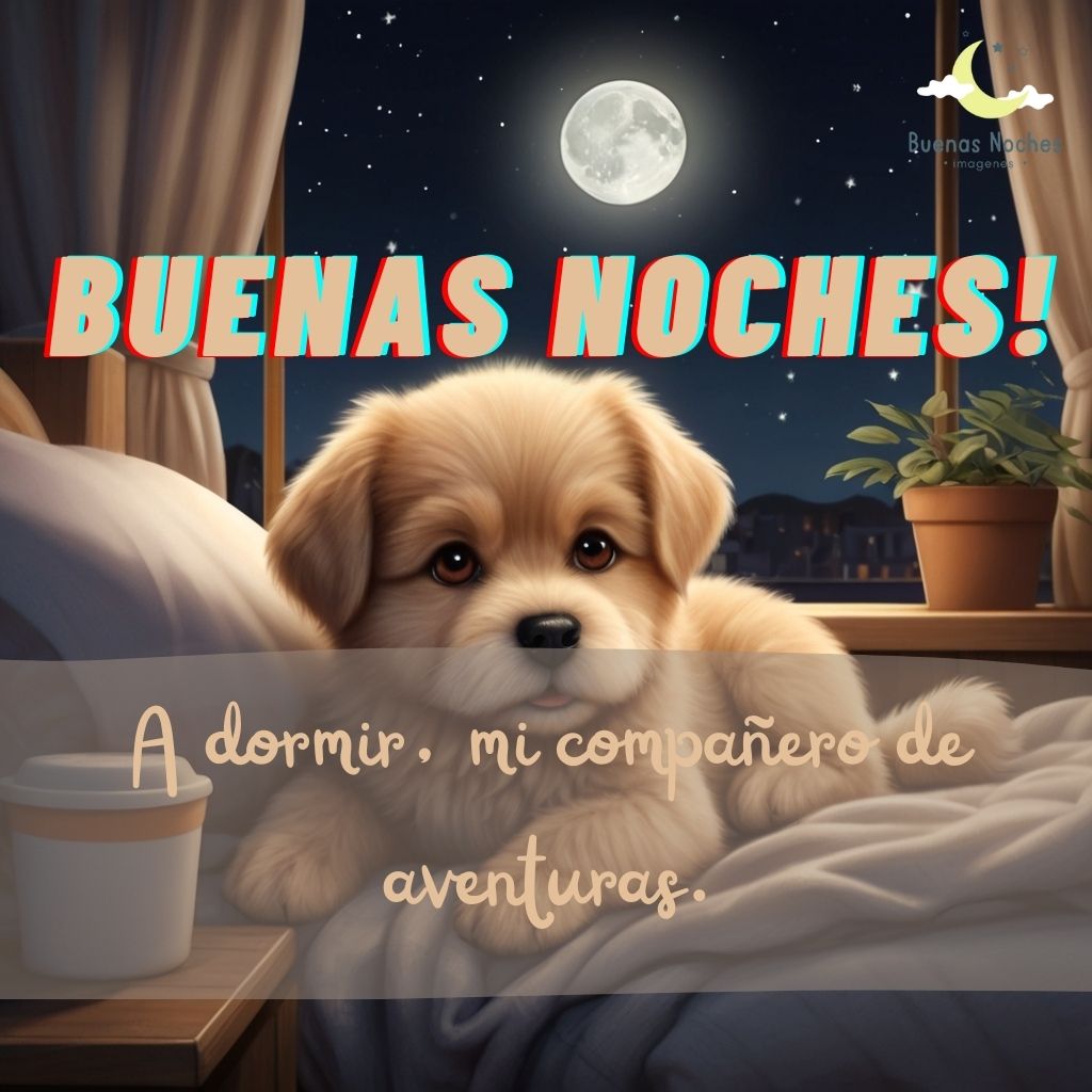 Imagenes de buenas noches con perros 3