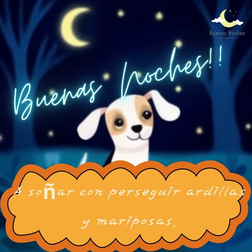 Imagenes de buenas noches con perros 33