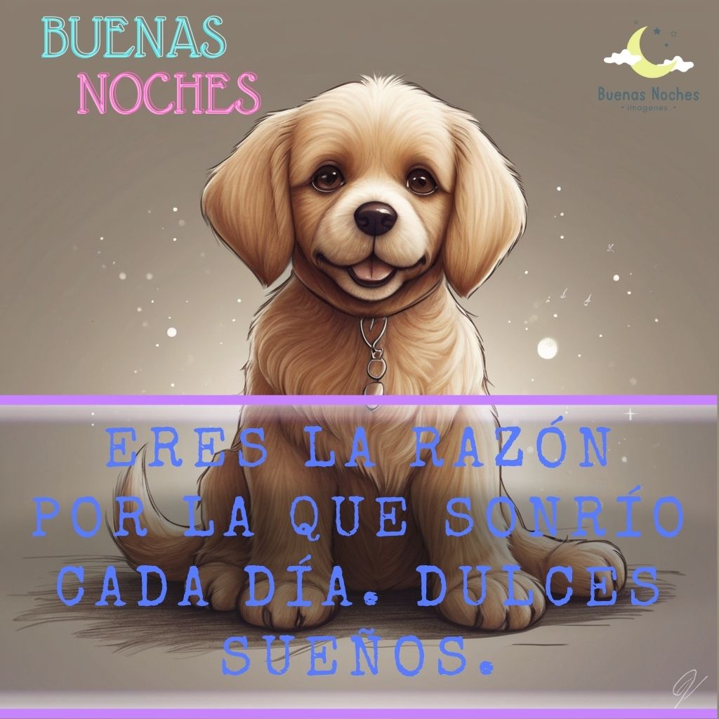 Imagenes de buenas noches con perros 39