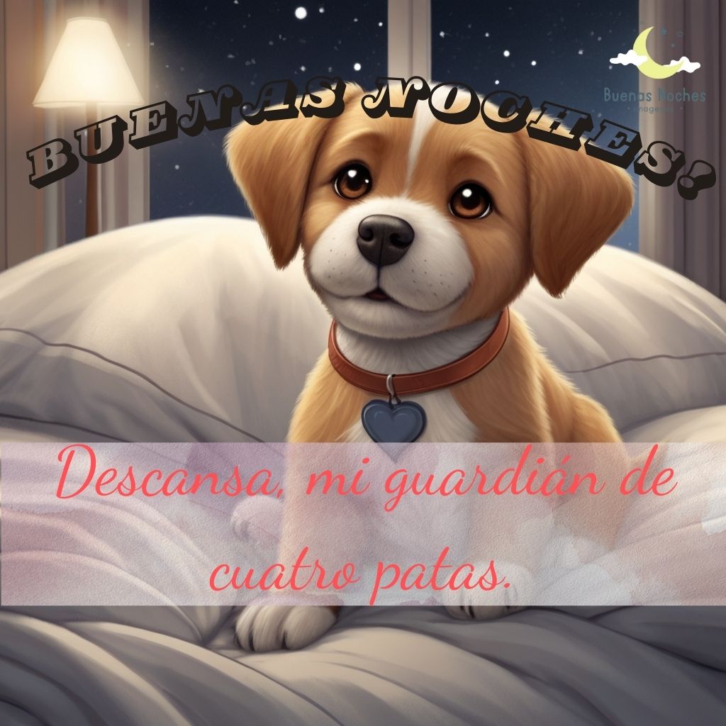 Imagenes de buenas noches con perros 4