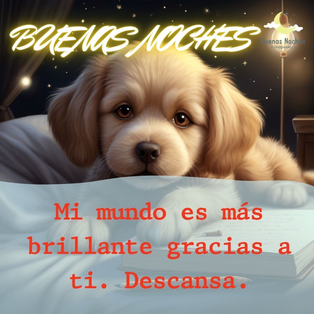 Imagenes de buenas noches con perros 40