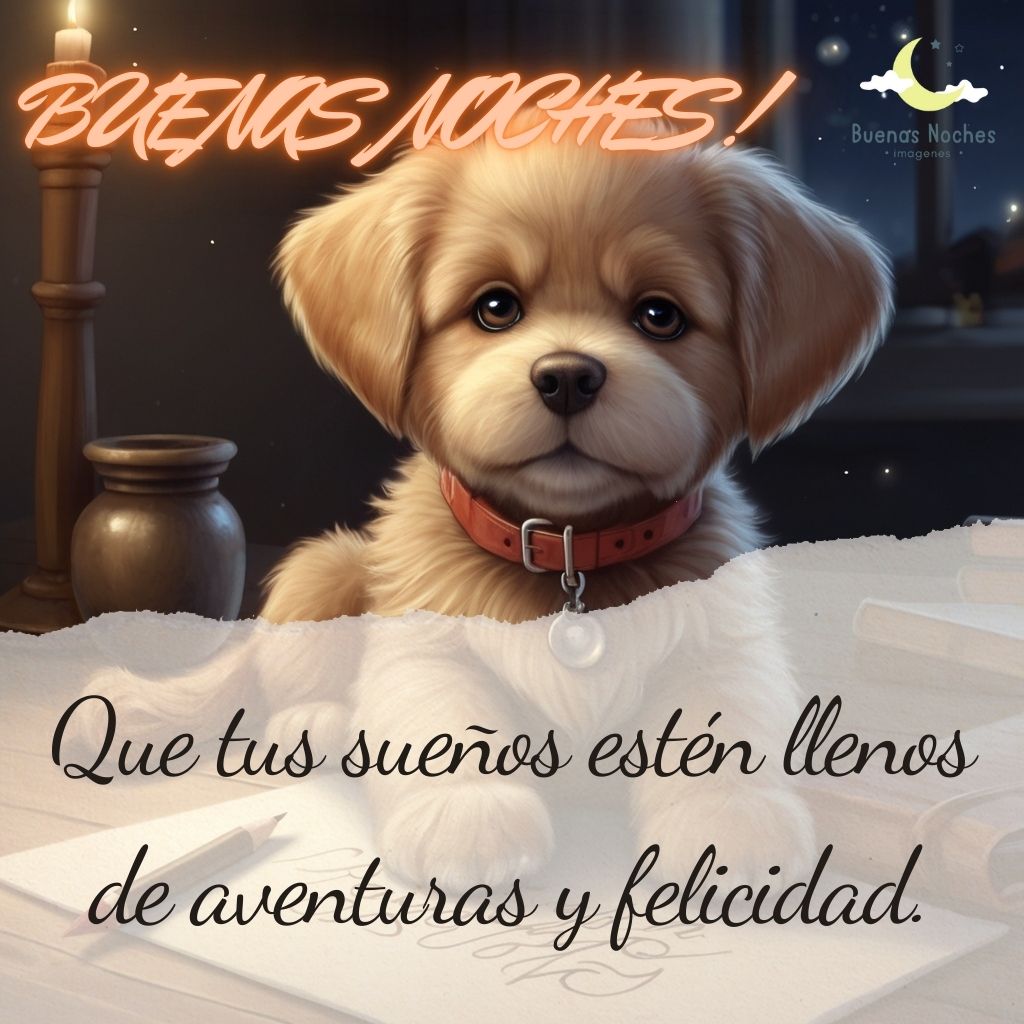 Imagenes de buenas noches con perros 45