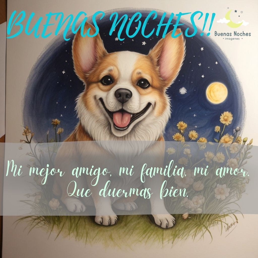 Imagenes de buenas noches con perros 48