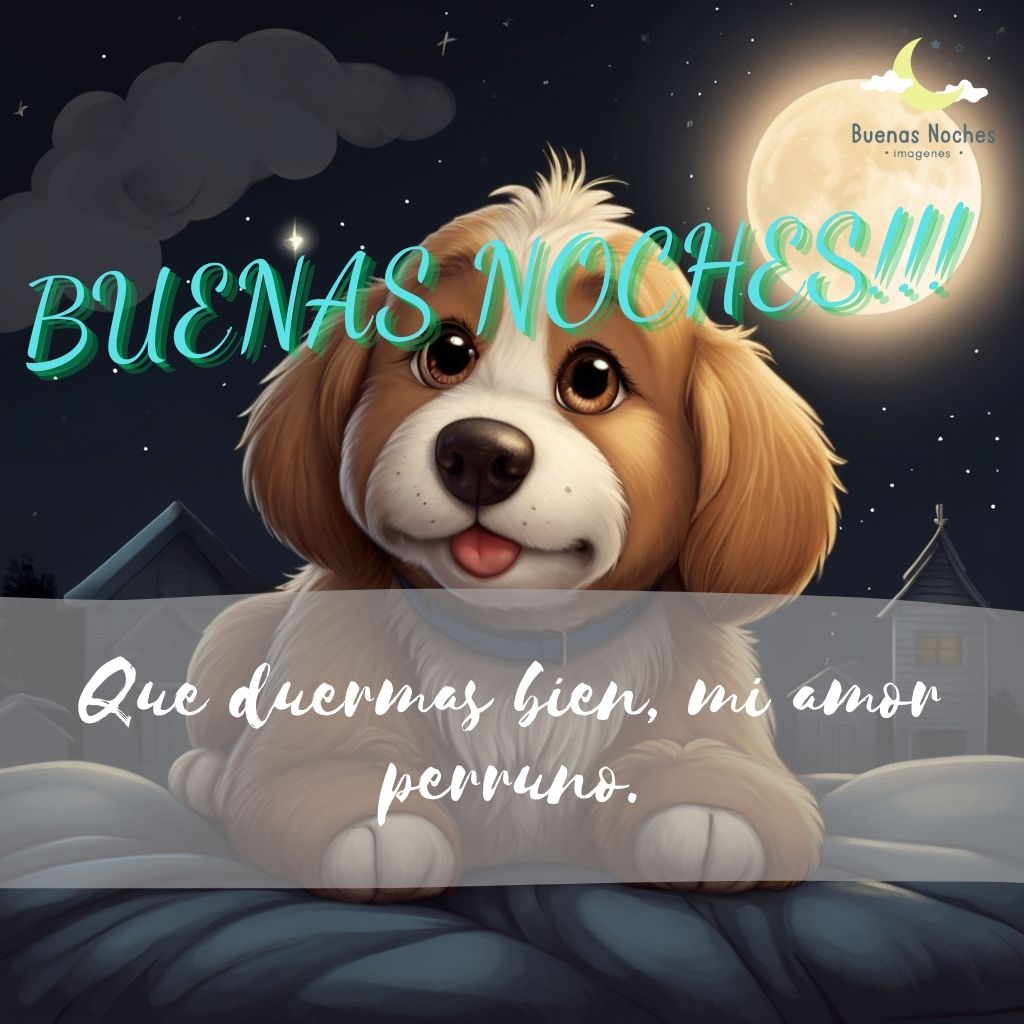 Imagenes de buenas noches con perros 5