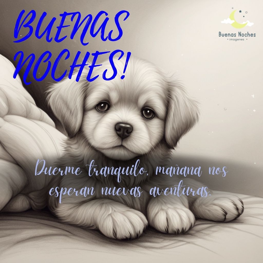 Imagenes de buenas noches con perros 50