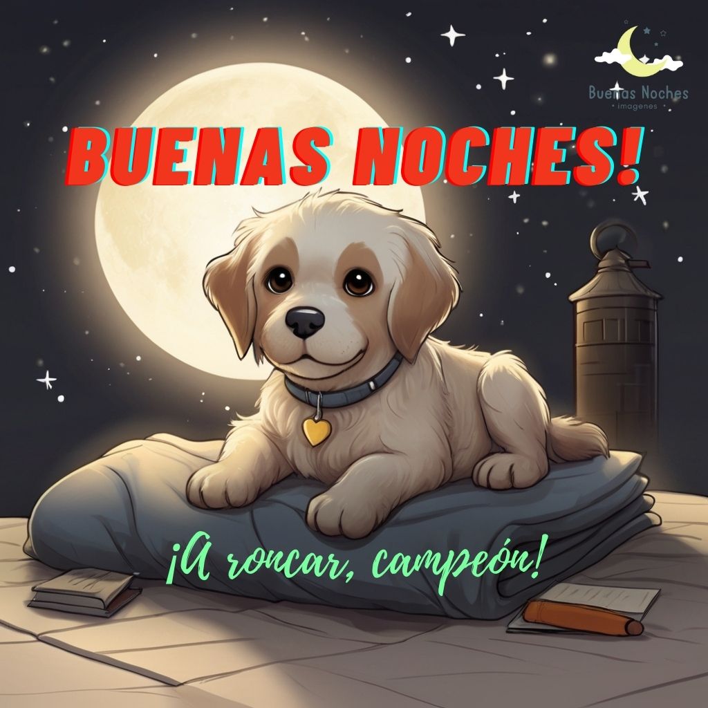 Imagenes de buenas noches con perros 6