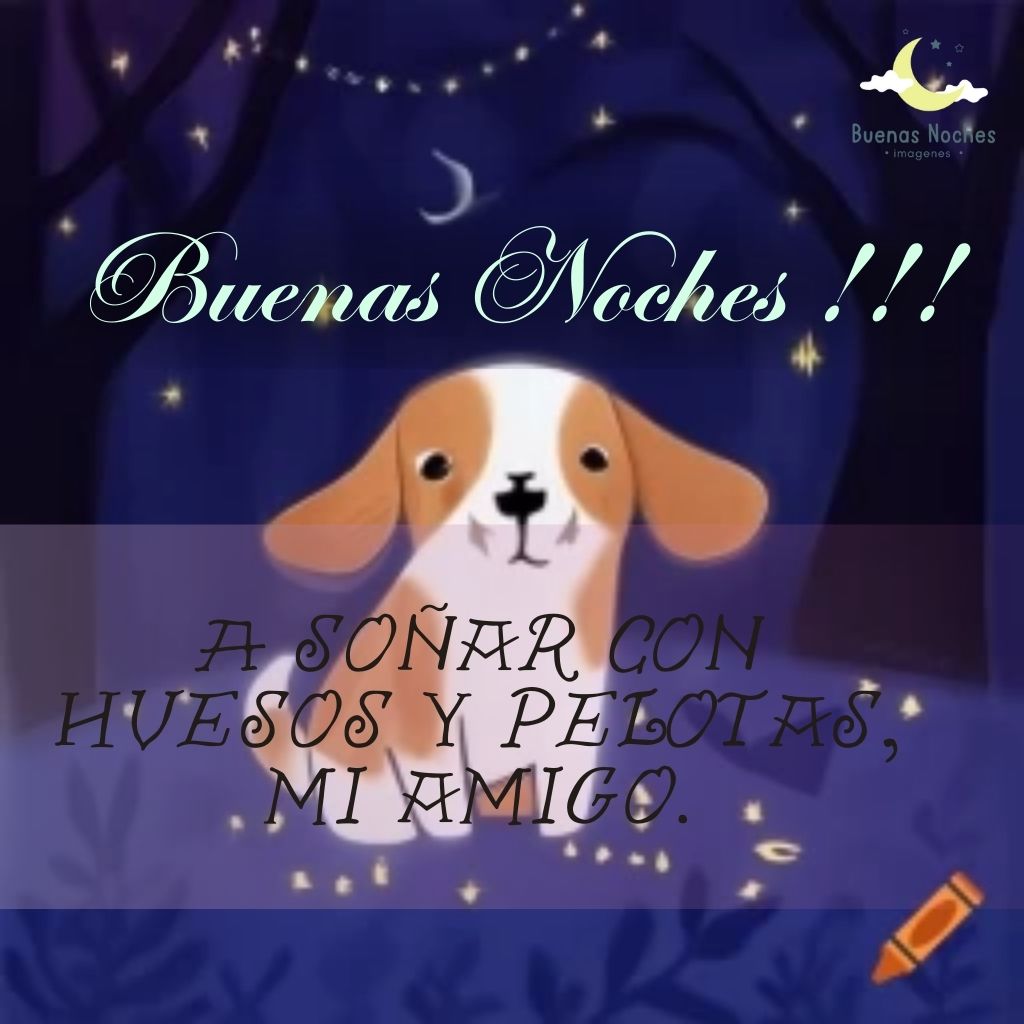 Imagenes de buenas noches con perros 9