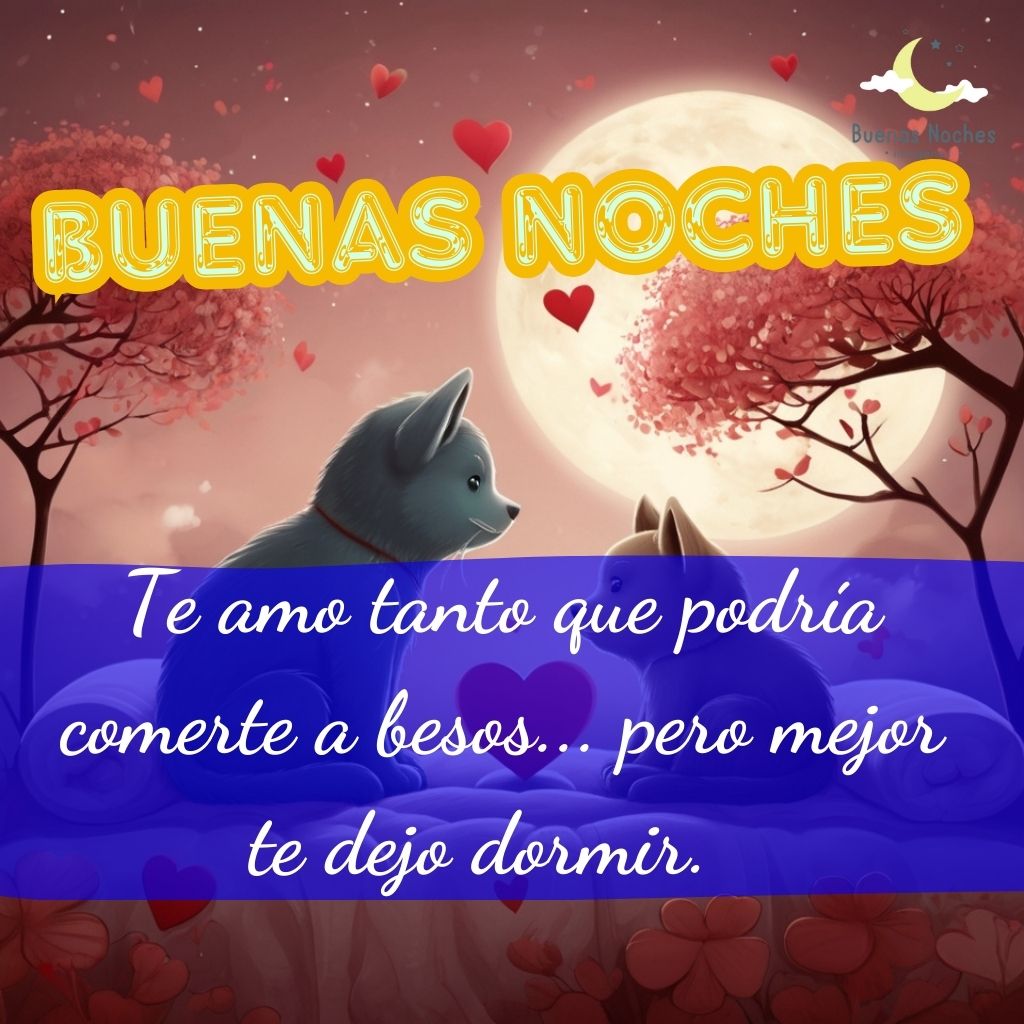 buenas noches imagenes para San Valentin 3