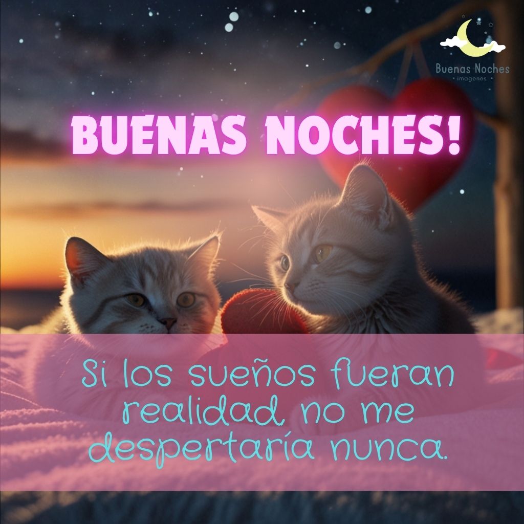 buenas noches imagenes para San Valentin 7