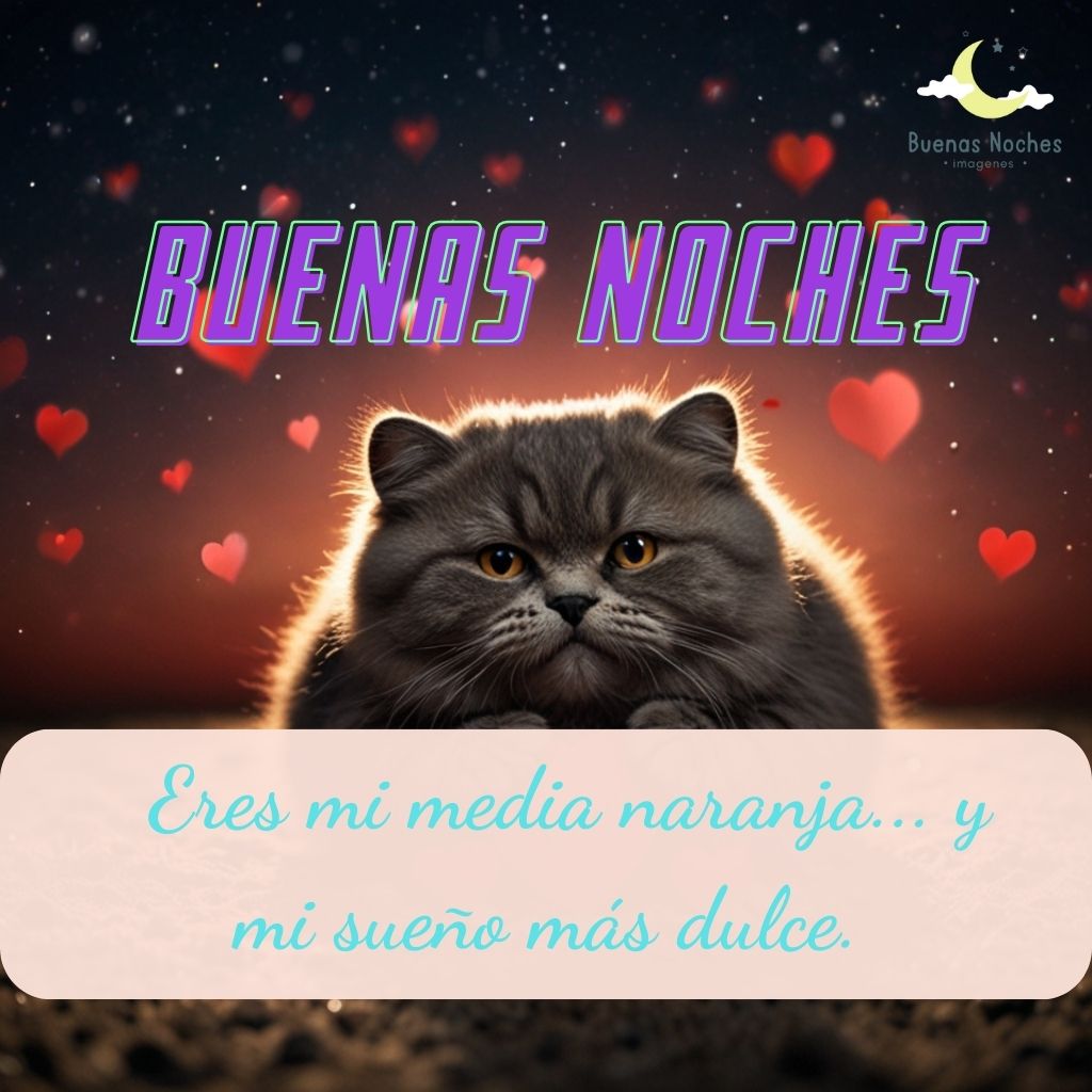 buenas noches imagenes para San Valentin 8