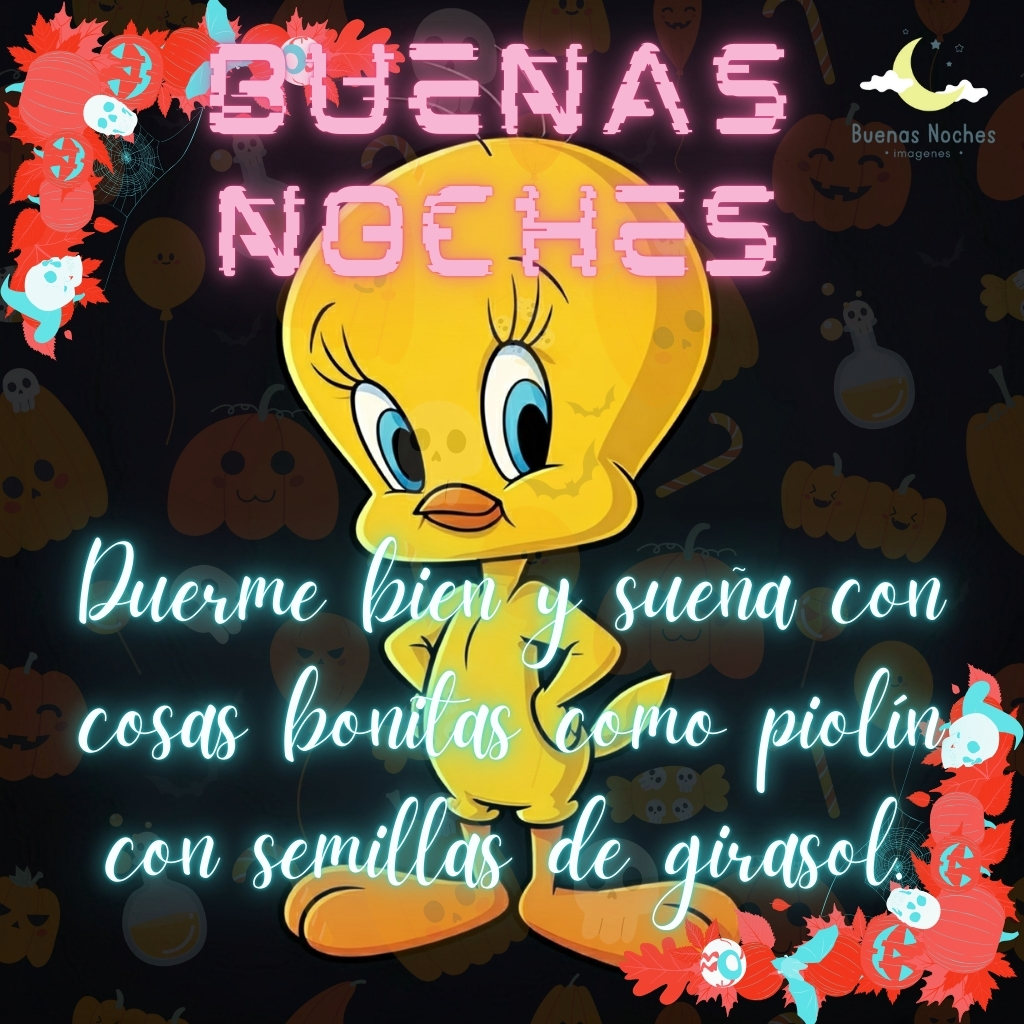 piolin imagenes buenas noches 11