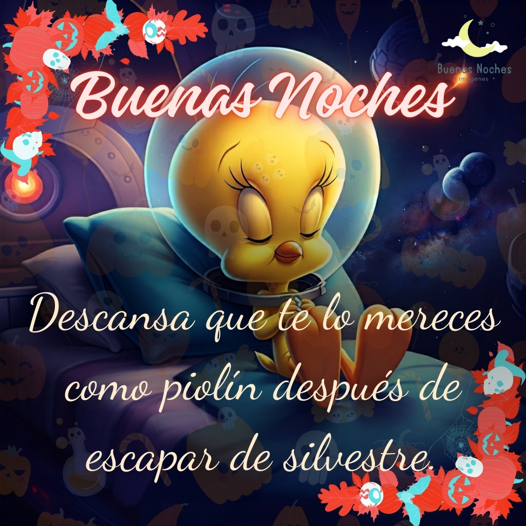 piolin imagenes buenas noches 22