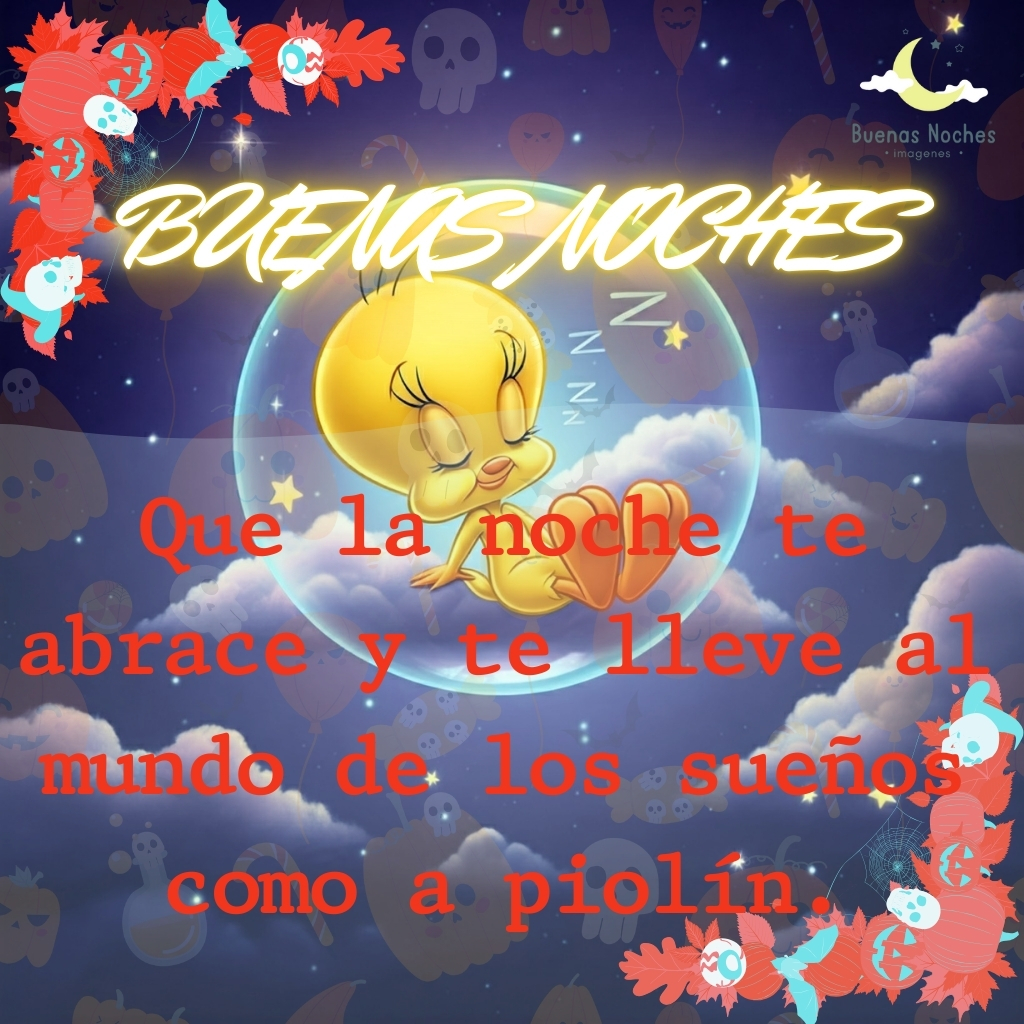 piolin imagenes buenas noches 23