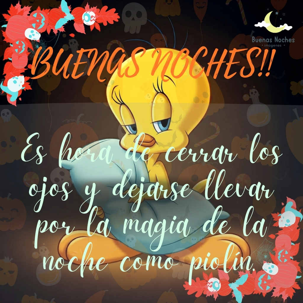 piolin imagenes buenas noches 24