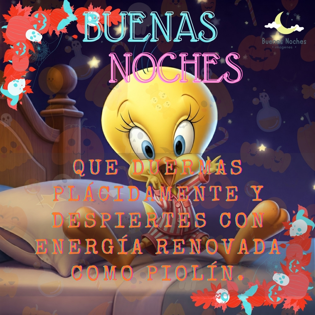 piolin imagenes buenas noches 25