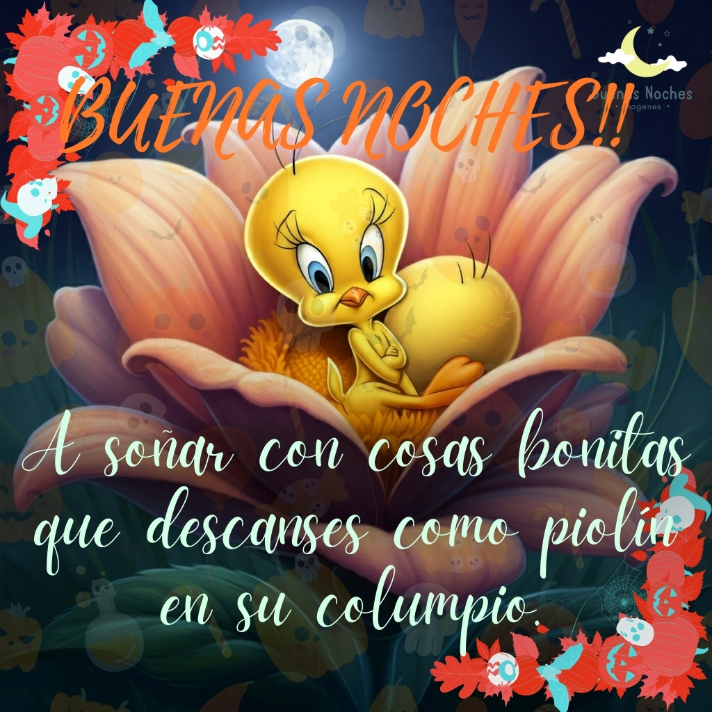 piolin imagenes buenas noches 26