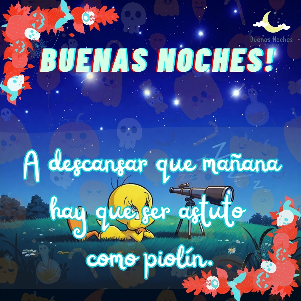 piolin imagenes buenas noches 5