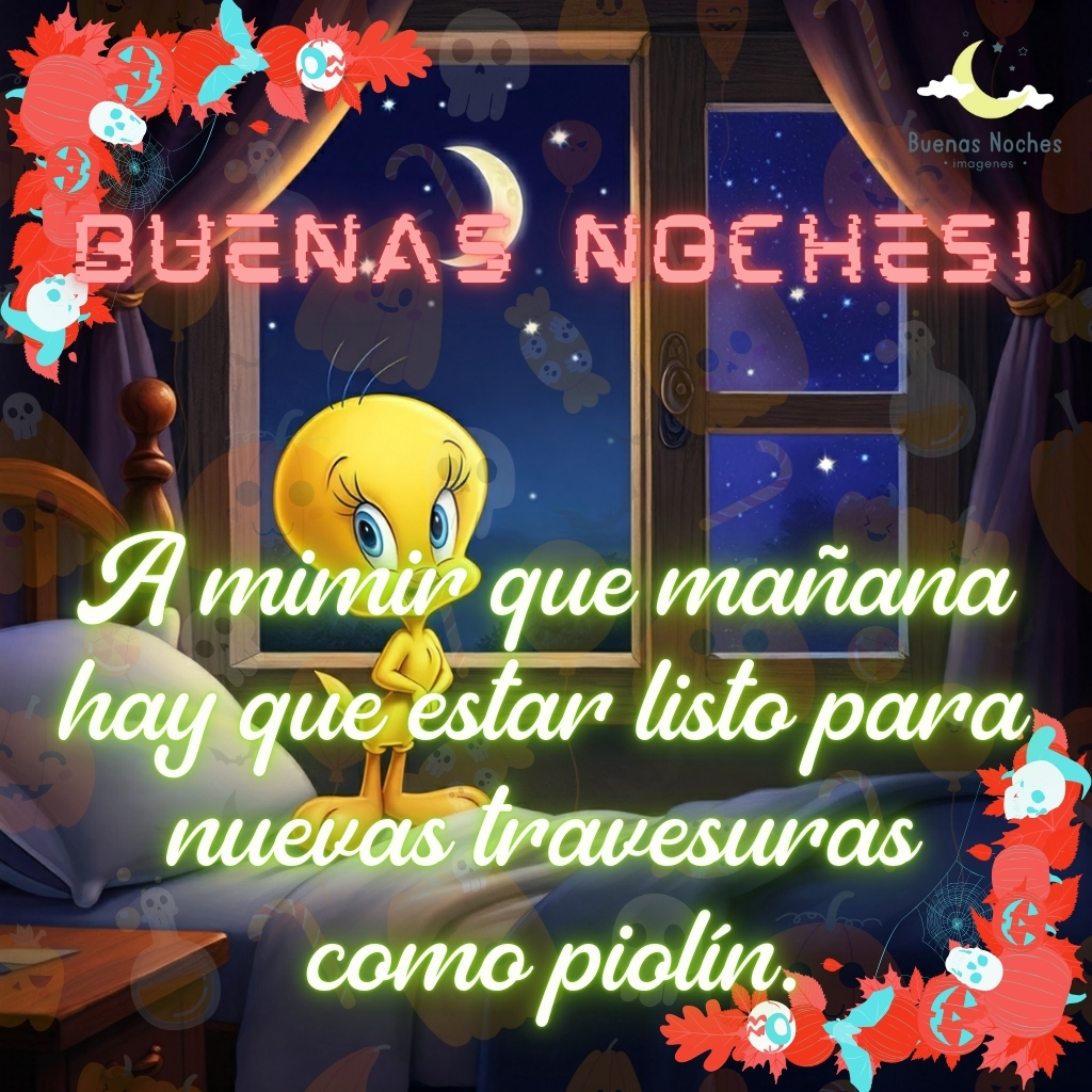 piolin imagenes buenas noches 9