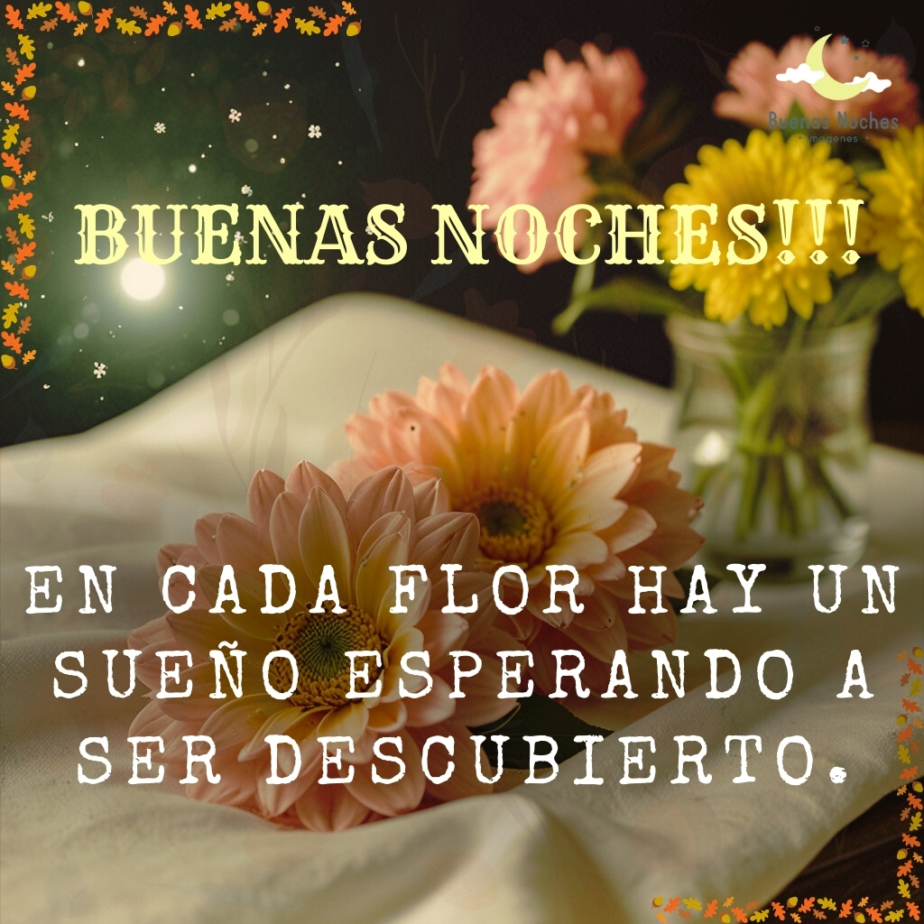 imagenes de buenas noches con flores 13