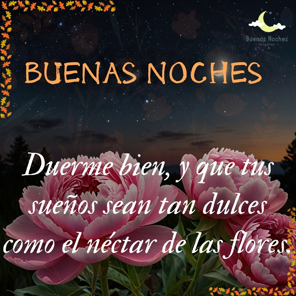 imagenes de buenas noches con flores 16