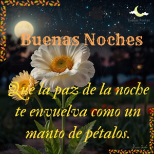 imagenes de buenas noches con flores 17