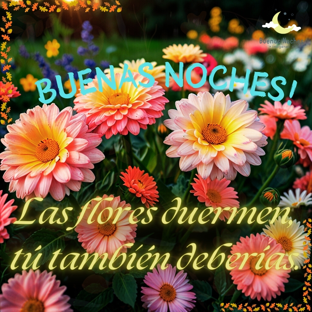 imagenes de buenas noches con flores 3