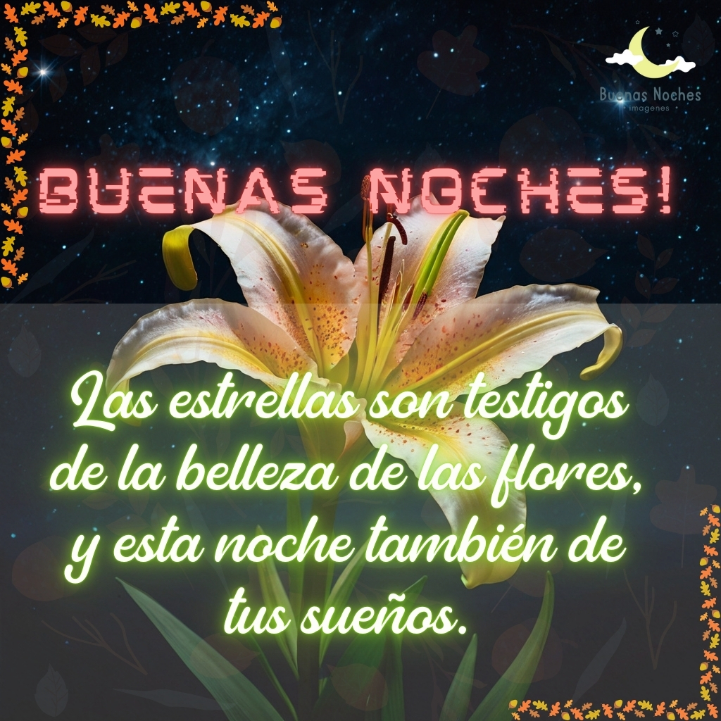 imagenes de buenas noches con flores 37