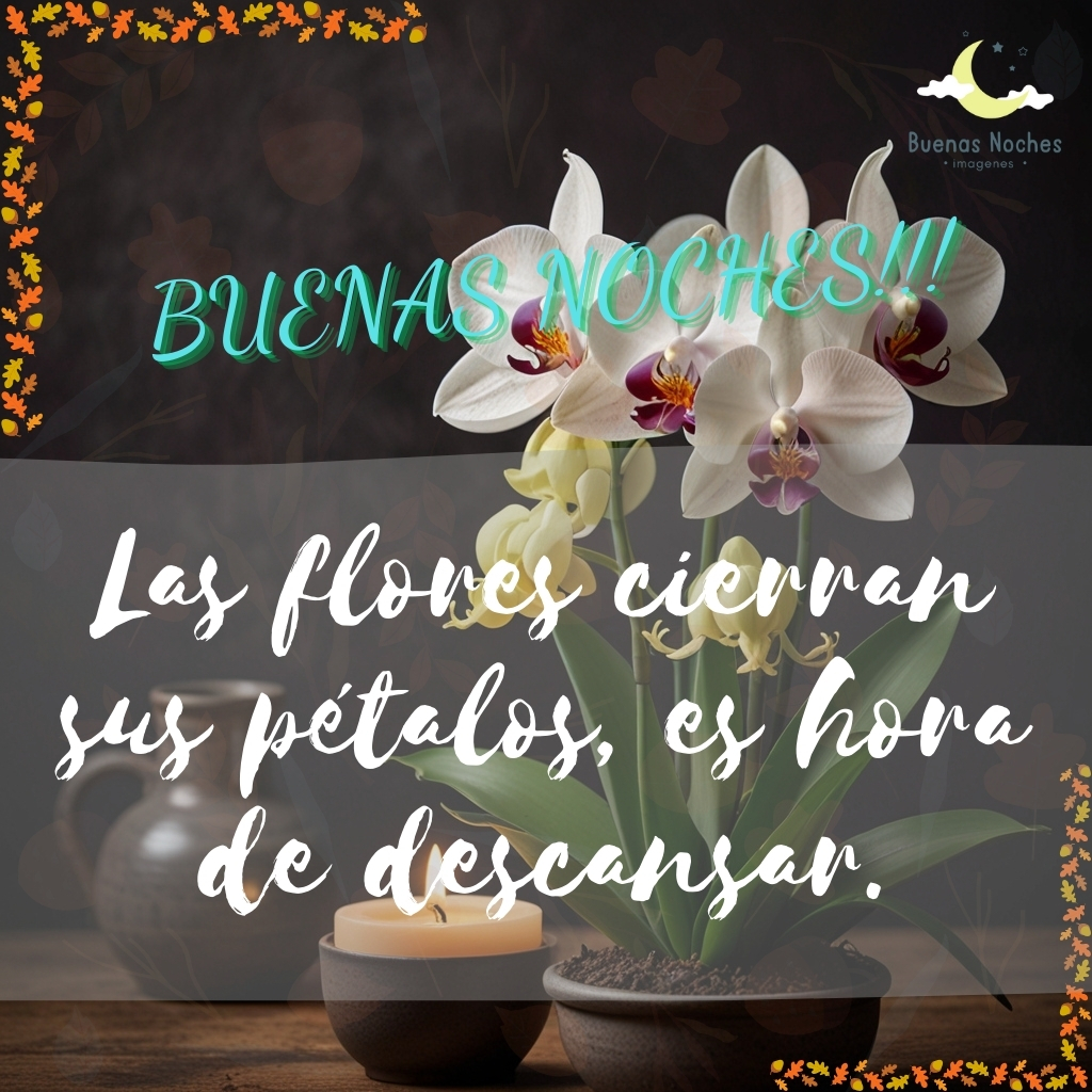 imagenes de buenas noches con flores 5