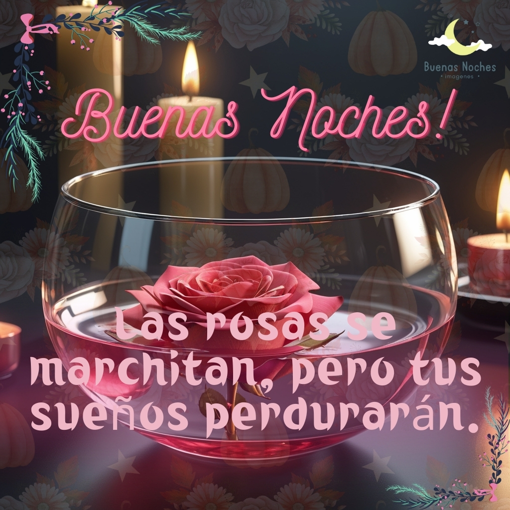 imagenes de buenas noches con rosas 14