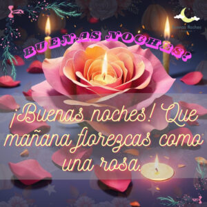 imagenes de buenas noches con rosas 2