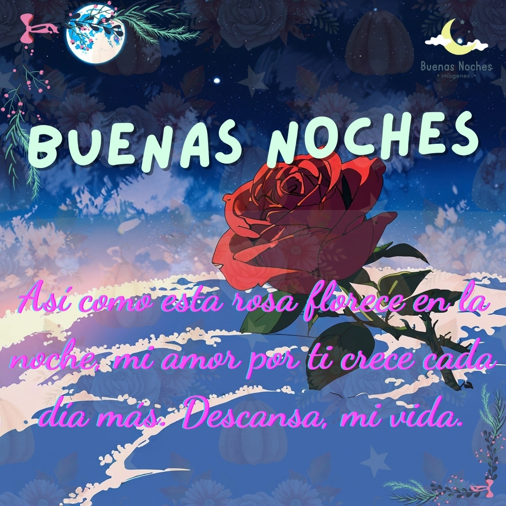 imagenes de buenas noches con rosas 25