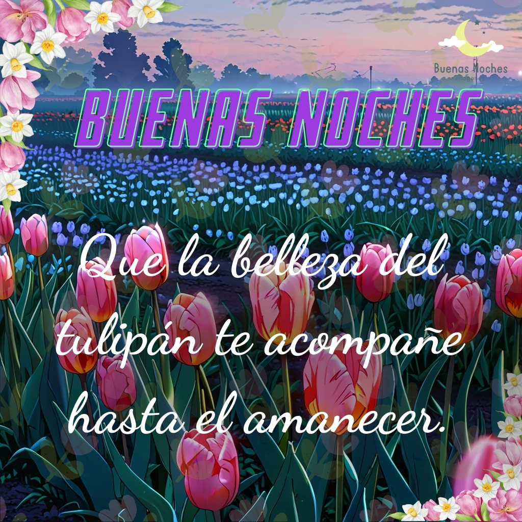 imagenes de buenas noches con tulipanes 15