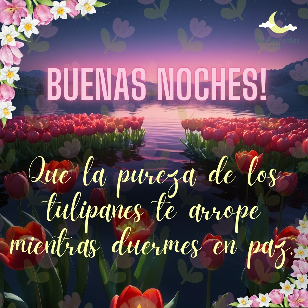 imagenes de buenas noches con tulipanes 24